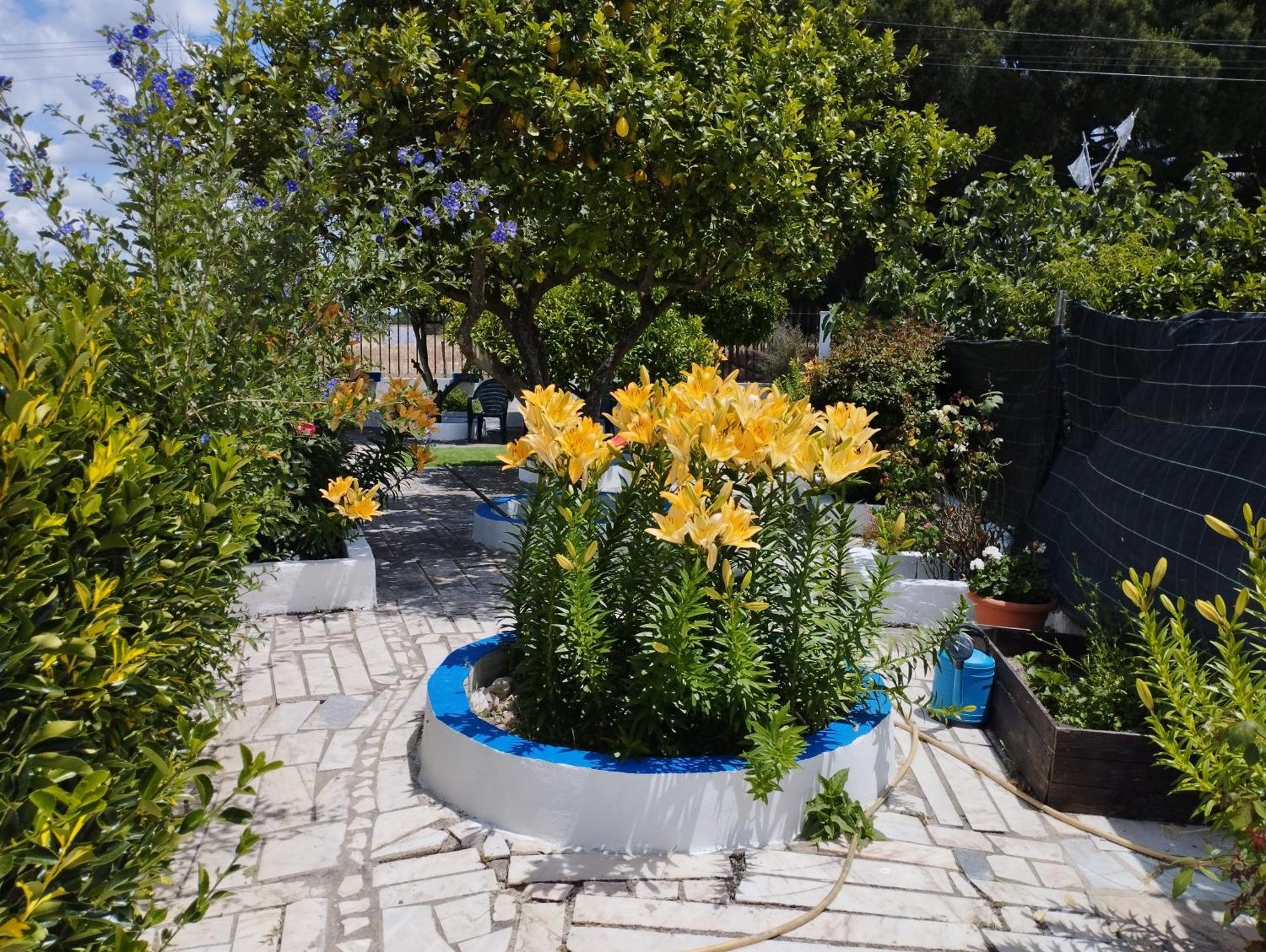 Monte Sol Nascente Holiday home Grandola