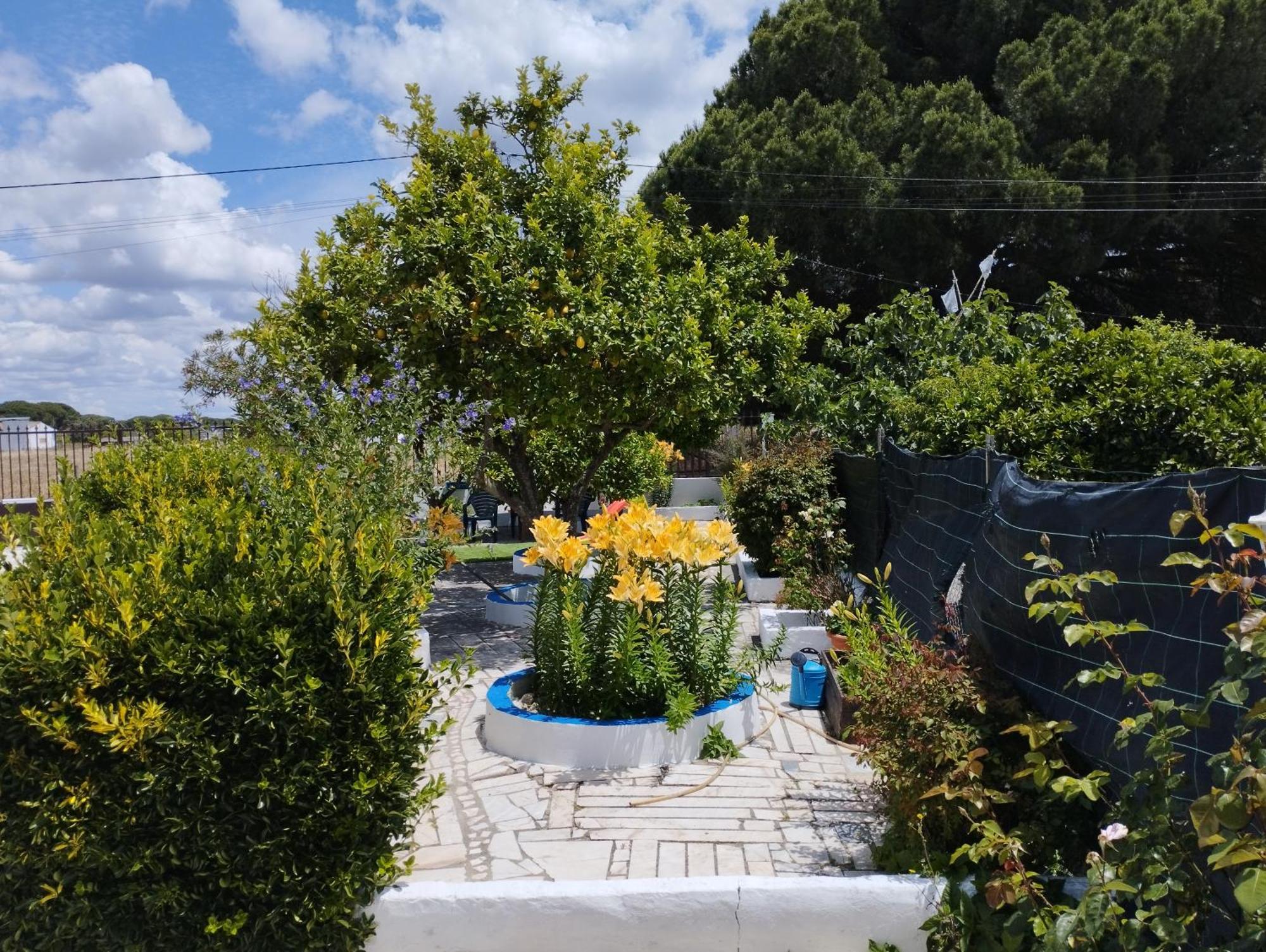 Monte Sol Nascente * Grandola